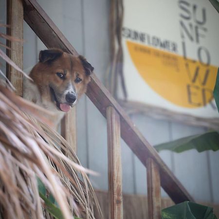 Sunflower Guesthouse And Animal Rescue - Koh Lipe Ngoại thất bức ảnh